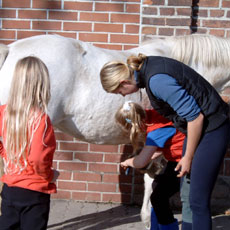 Kinderreitferien