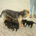 Kids Weitzgrund
