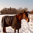 Reitstall Berlin