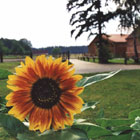Urlaub auf dem Bauernhof
