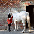 Schmusepony