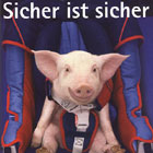 Sicheres Reiten