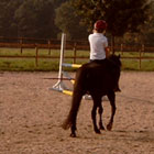Ferien mit Pferd