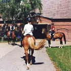 Ausritt Weitzgrund