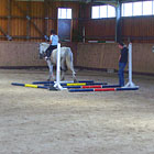 Reiterferien Weitzgrund