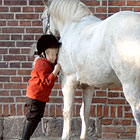 Schulpony
