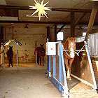 Reitstall