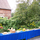 Event Brandenburg