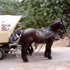 Kutschfahrt Berlin