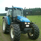 Pferdeweide